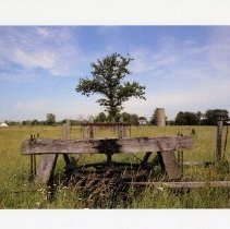 Image Omc 2021.002 (8)